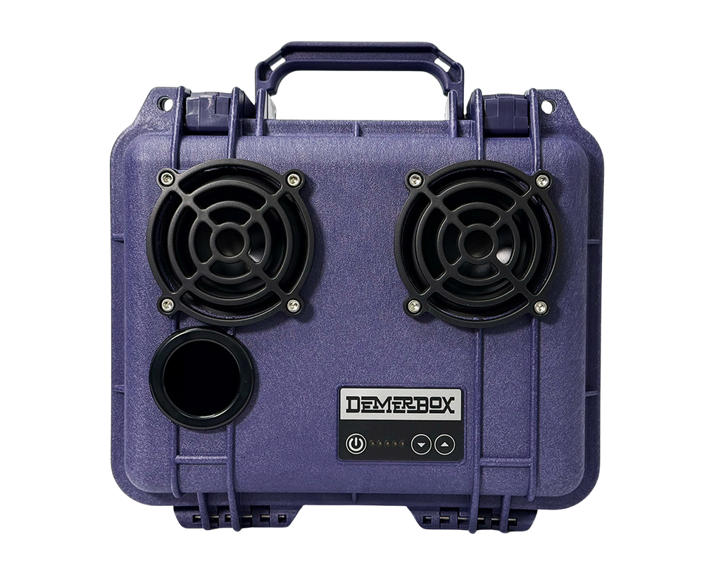 Wister Purple DB2 Speaker